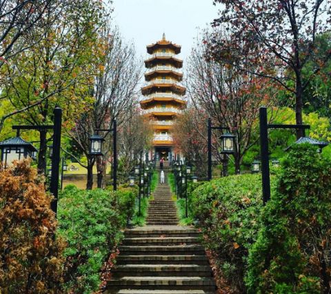 nan tien temple jelloberries