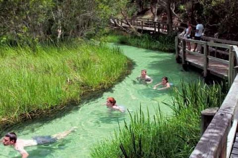 fraser island explorer tours