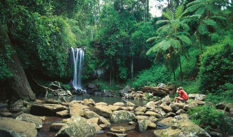 tamborine national park tourism events qld