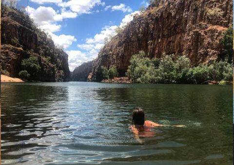 butterfly gorge