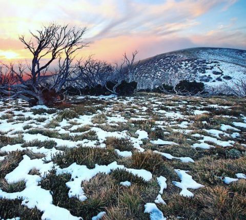 mt hotham 